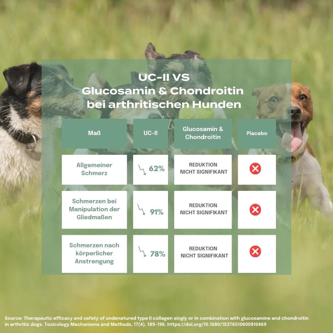 UC-II vs Glucosamine & Chondroitin