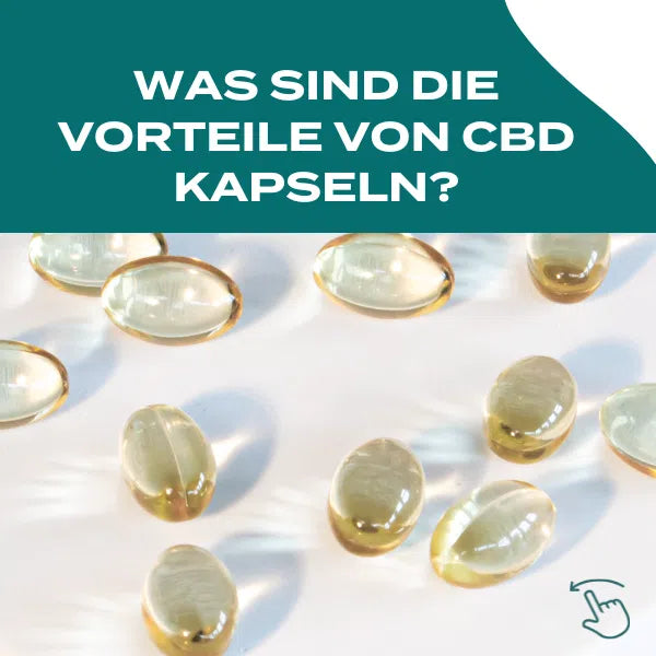 CBD Kapseln