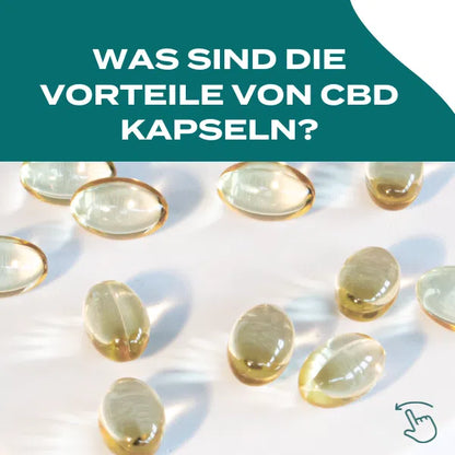 CBD Kapseln