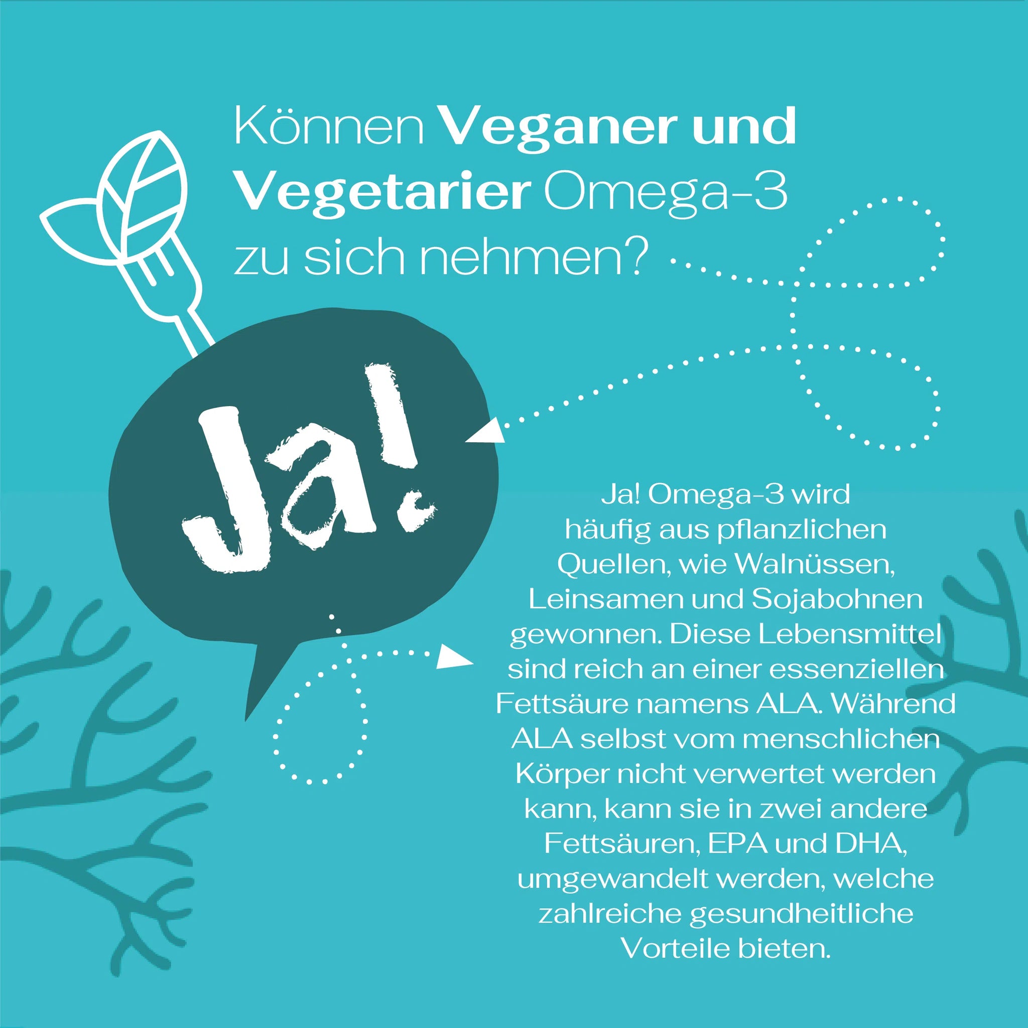 Vegane Omega-3 Kapseln