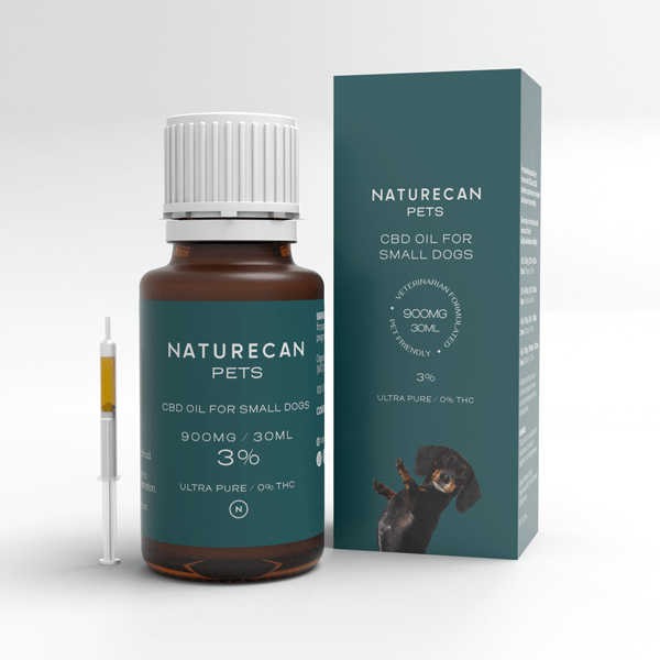 CBD Öl für Hunde