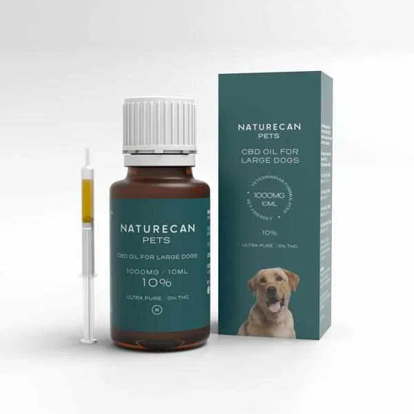 CBD Hunde Anwendung